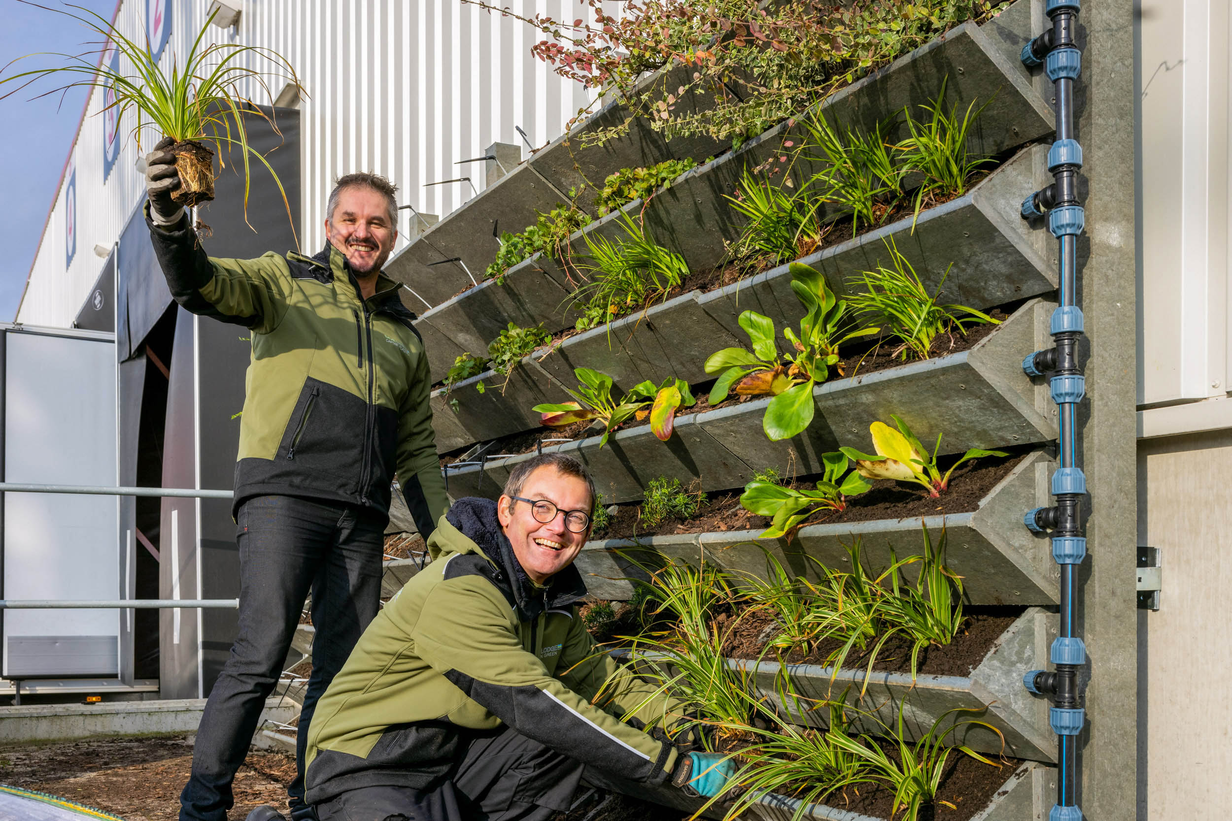 Twee mannen zijn bezig met het aanplanten van een verticale tuin tegen een gebouw. De man links houdt een plant omhoog en beide mannen dragen groene en zwarte jassen. Op de achtergrond is een metalen constructie te zien, evenals de gevel van een gebouw. De planten zijn frisgroen en staan in smalle, horizontale bakken. Fotograaf: Jan Buwalda, Groningen.