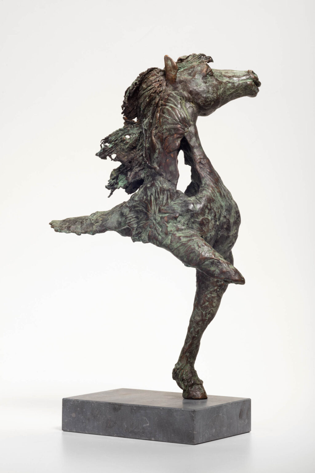 Dit beeldhouwwerk, gefotografeerd door Jan Buwalda in Groningen, toont een bronzen sculptuur van een sierlijke, dynamische figuur die lijkt te bewegen in een dansachtige pose. De textuur van het bronzen materiaal geeft de indruk van vloeiende beweging en energie. Het kunstwerk is geplaatst op een stevige rechthoekige sokkel, die stabiliteit verleent aan de expressieve vorm daarboven.